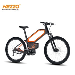 HEZZO Carbon Fiber Electric Bike 48V 500W Middrive 20AH