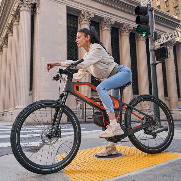 HEZZO Carbon Fiber Electric Bike 48V 500W Middrive 20AH