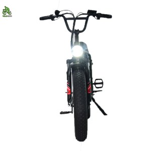 HAZZO 2024 YQ Electric Bicycle 48V 13A SHIMANO 7-speed Lithium Battery - Image 5