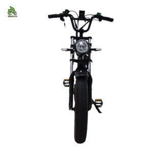 HAZZO 2024 YQ Electric Bicycle 48V 1000W Mid wheel Drive - Image 4